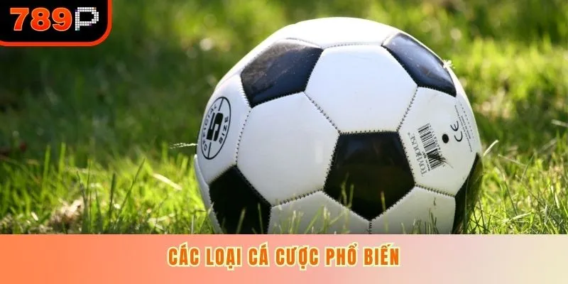 Các loại cá cược phổ biến
