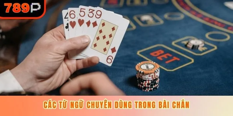 Các từ ngữ chuyên dùng trong bài chắn