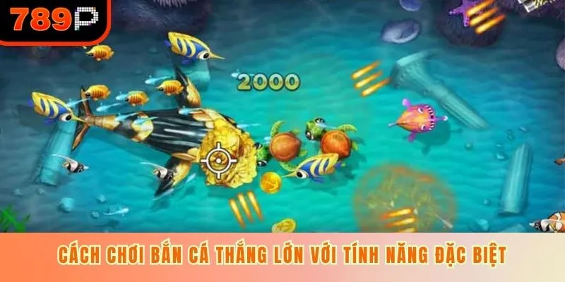 Cách chơi bắn cá thắng lớn với tính năng đặc biệt