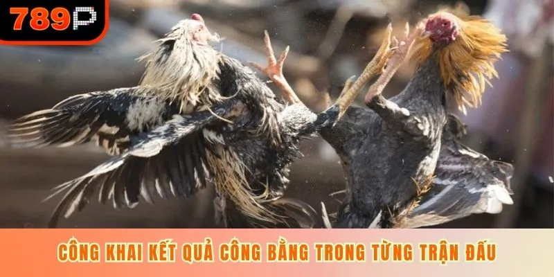 Công khai kết quả công bằng trong từng trận đấu