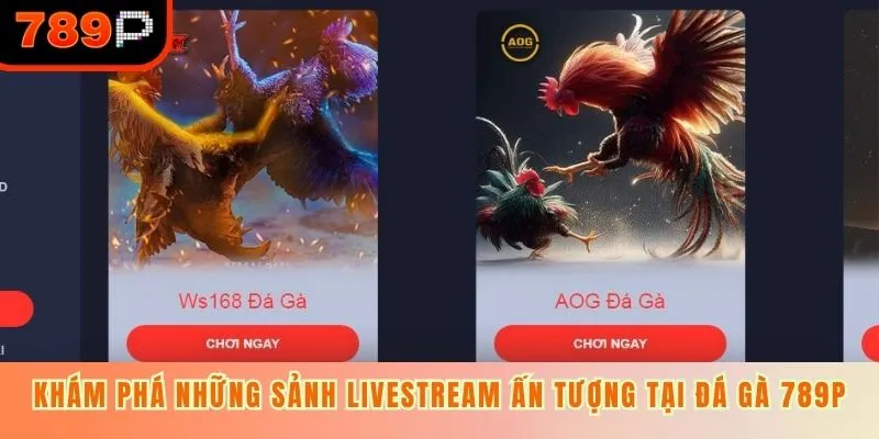 Khám phá những sảnh livestream ấn tượng tại đá gà 789p