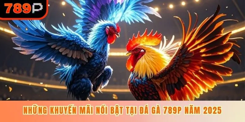 Những khuyến mãi nổi bật tại đá gà 789P năm 2025
