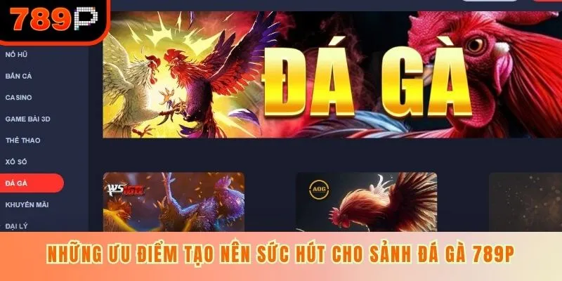 Những ưu điểm tạo nên sức hút cho sảnh đá gà 789P